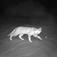 Foto: Agencia Medioambiental de Abu Dhabi.